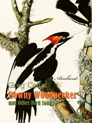 cover image of Downy Woodpecker and Other Bird Songs